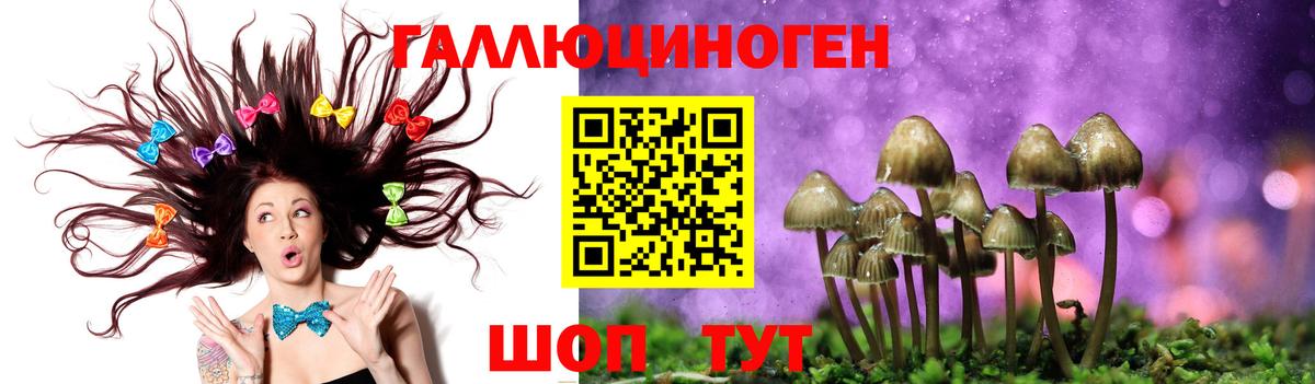 Москва  Галлюциногенные грибы GOLDEN TEACHER  Вход с VPN 